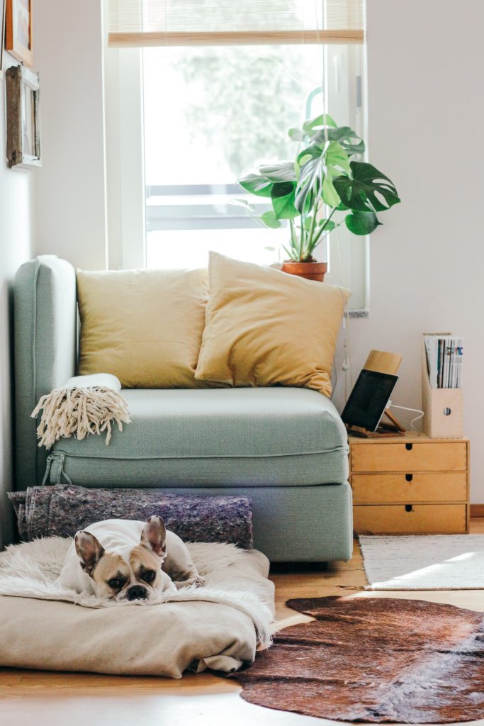 Tirer le meilleur parti de la prise domotique : nos conseils pour optimiser votre expérience